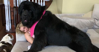 17 People Who Didn’t Realize Their Dog Would Turn Out to Be So Humongous