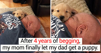 20+ Pics That Are Sweeter Than a Drop of Honey