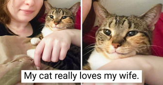 20 Charming Pets Who Won Their Owners’ Hearts