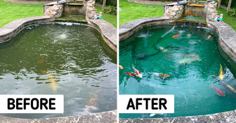 17 Magical Cleaning Transformations That Will Soothe Your Brain