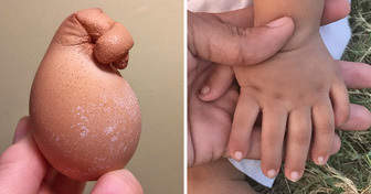 16 People Who Have a Lot of Curious Things to Share