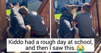 20 Aww-Worthy Photos of German Shepherds That Might Convince You to Get One