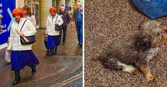20+ Coincidences That Are So Random They Could Have Been a Glitch in the Matrix