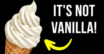15 Food Myths and Lies They Mistakenly Led You to Believe Are True