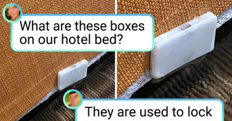 15+ Odd Situations Where The Internet Was Our Only Helpful Resource