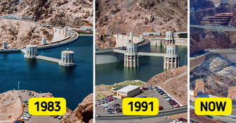 10+ Pics Proving How Dramatically Our Planet Is Different Compared to Centuries Ago