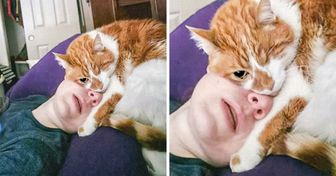 20+ Animals Who Adore People So Much They’d Shout, “I Love You” if They Could