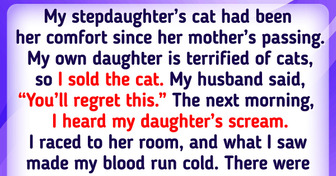 I Secretly Sold My Stepdaughter’s Cat and Couldn’t Believe What Followed Immediately