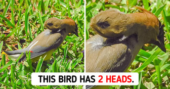 13 Times Nature Proved That Uniqueness Is Its Second Name