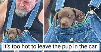 15+ Photos Proving That the Love Between Pets and Their Owners Is Limitless