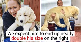 20 People Whose Love for Pets Is as Huge as Their Dogs