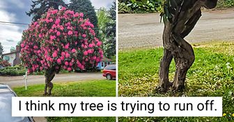 16 Photos Proving That Nature Has No Limits to Its Creativity
