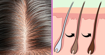 How to Scientifically and Naturally Slow Down the Graying of Hair