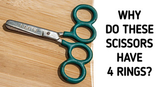 15 Weird Things Whose Mystery Would’ve Been Impossible to Solve Without the Internet’s Help