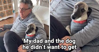 20+ People Who Never Wanted a Pet but Something Went Wonderfully Wrong