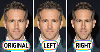 15 Stars Who We Wouldn’t Recognize If They Had Perfectly Symmetrical Faces