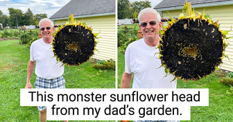 19 Times Nature Was Inspired by a Very Powerful Muse