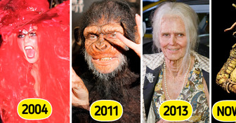 Heidi Klum’s 2025 Halloween Look Leaves Fans Speechless