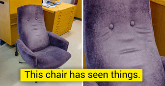 15+ Things That Could Fool You Into Thinking They Are Something Else