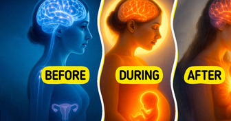 Pregnancy Permanently Reshapes the Brain, According to Science