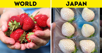 18 Curious Facts That Make Japan Completely Unique