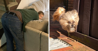 18 Optical Illusions Hidden in Everyday Images