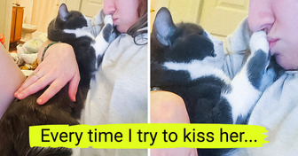 18 Photos of Pets Showing Us Who’s the Real Boss