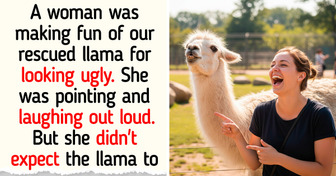 13 Stories Where Karma Played Judge and Won