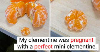 20 Times the Universe Decided to Add a Sprinkle of Magic to the Day