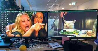 15+ Priceless Desktop Backgrounds That Are Hilariously Genius
