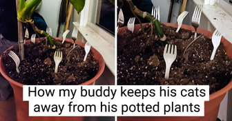 15 Times People Left Us in Awe With Their Actions