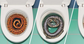 10 Bathroom Terrors That Are Compromising Your Wellbeing