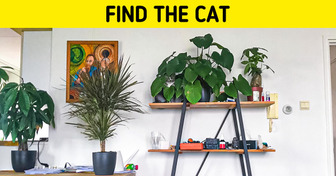 Test: Can You Spot the Sneaky Animals and Things Hiding in These Photos?