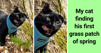 15 Amusing Photos That Are Complete Mood Boosters