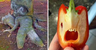 16 Times Nature Proved That It’s Multidimensional and Very Creative