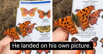 18 Times the Universe Found a Peculiar Way to Leave Us Speechless