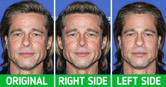 18 Stars Who Would Look Utterly Unrecognizable If Their Faces Were Totally Symmetrical