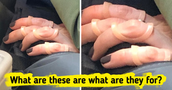 12 Secrets the Internet Revealed About Mysterious Objects