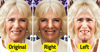 We Made Celebrities’ Faces Perfectly Symmetrical — and Some Results Are Truly Insane