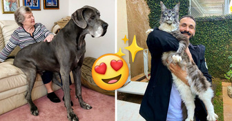 19 Pets That Forgot They’re Huge