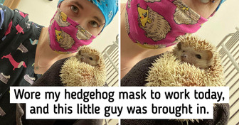 20 Pics That Can Easily Be a Source of Good Vibes
