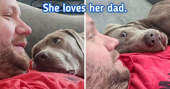 15 Pets Who Radiate Love in Everything They Do