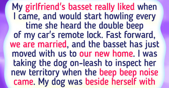 15 Stories That Prove Life Without a Furry Friend Is Eternal Boredom