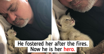 15+ Pets Whose Bonds With Their Hoomans Are Unbreakable