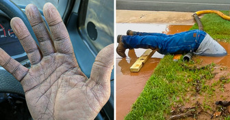 16 People Whose Jobs Are Definitely Not a Walk in the Park
