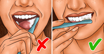 8 Tips and Facts About Teeth That Will Help You Take Better Care of Them