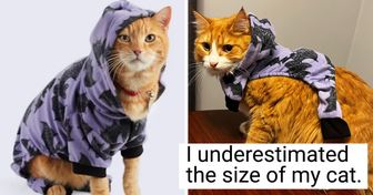 15 Times the Universe Kept People Humble With a Dose of Disappointment