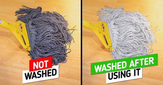 13 Highly Used Items We Don’t Even Think of Washing But We Definitely Should