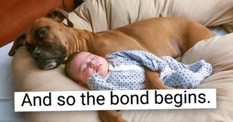 19 People Whose Friendship With Their Pets Is as Strong as a Rock