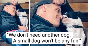 20 Men Who Had Their Hearts Stolen by Adorable Pets